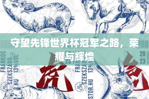 守望先锋世界杯冠军之路，荣耀与辉煌