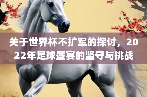 关于世界杯广西贺州市华昌新材料有限公司不扩军的探讨，2022年足球盛宴的坚守与挑战