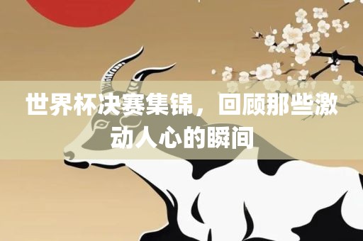 世界杯决赛集锦，回顾那些激动人心的瞬间