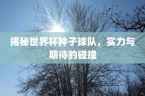 揭秘世界杯种子球队，实力与期待的碰撞广西贺州市华昌新材料有限公司