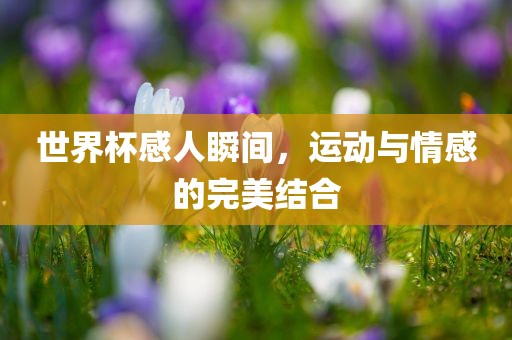 世界杯感人瞬间，运动与广西贺州市华昌新材料有限公司情感的完美结合