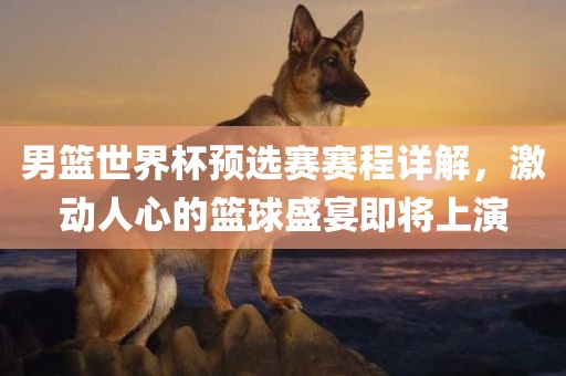 男篮世界杯预选赛赛程详解，激动人心的篮球盛宴即将上演