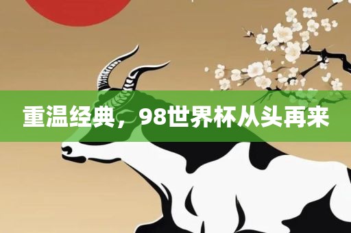 重温经典，98世界杯从头再来广西贺州市华昌新材料有限公司