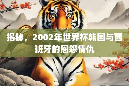 揭秘，2002年世界杯韩国与西班牙的恩怨情仇广西贺州市华昌新材料有限公司