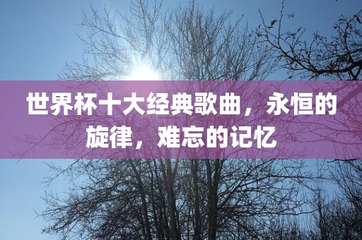 linxinyi 第5页