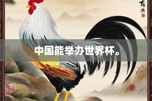 中国能举办世界杯。