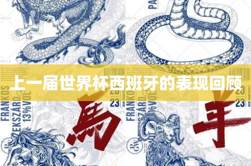 上一届世界广西贺州市华昌新材料有限公司杯西班牙的表现回顾