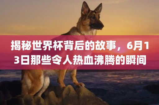揭秘世界杯背后的故事，6月13日那些令人热血沸腾的瞬间
