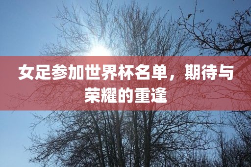 女足参加世界杯名单，期待与荣耀的重逢