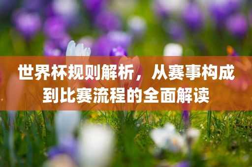 世界杯规则解析，从赛事构成到比赛流程的全面解读
