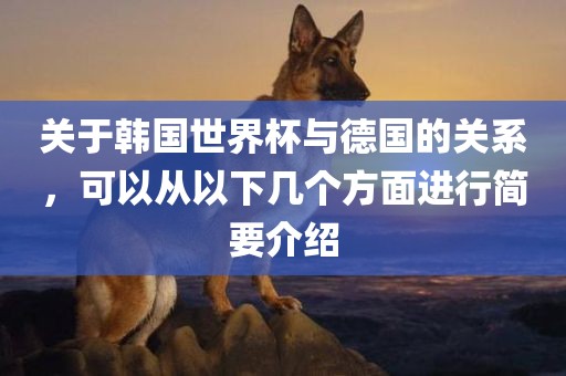 关于韩国世界杯与德国的关系，可以从以下几个方面进行简要介绍