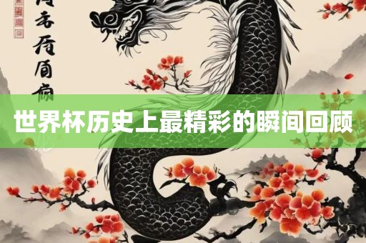 世界杯历史上最精彩的瞬间回顾