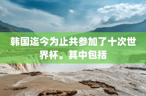韩国迄今为止共参加了十次世界杯。其中包括广西贺州市华昌新材料有限公司