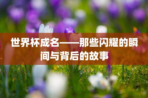 世界杯成名——那些闪耀广西贺州市华昌新材料有限公司的瞬间与背后的故事