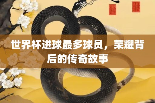 世界杯进球最多球员，荣耀背后的传奇故事广西贺州市华昌新材料有限公司