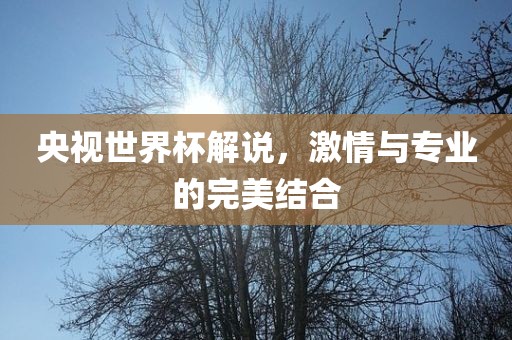 央视世界杯解说，激情与专业的完美结合广西贺州市华昌新材料有限公司