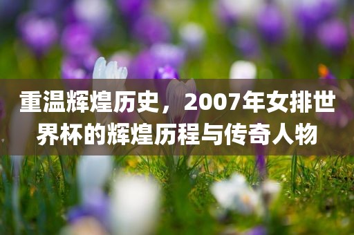 重温辉煌历史，2007年女排世界杯的辉煌历程与传奇人物