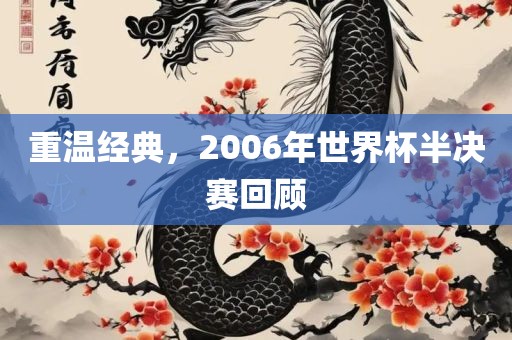 重温经典，2006年世界杯半决赛回顾