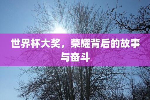 世界杯大奖，荣耀背后的故事与奋斗