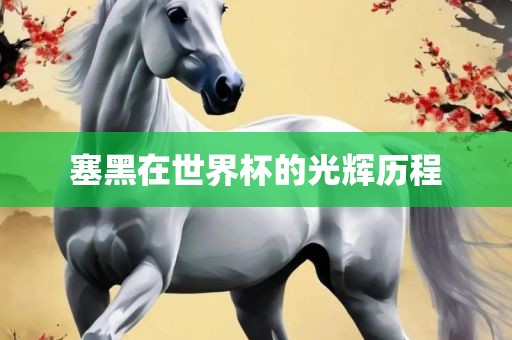 塞黑在世界广西贺州市华昌新材料有限公司杯的光辉历程