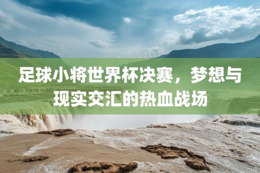 足球小将世界杯决赛，梦想与现实交汇的热血战场广西贺州市华昌新材料有限公司