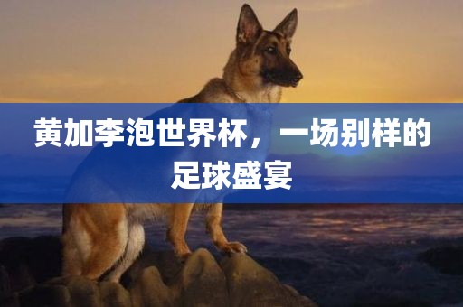 黄加李泡世界杯，一场别样的足球盛宴广西贺州市华昌新材料有限公司