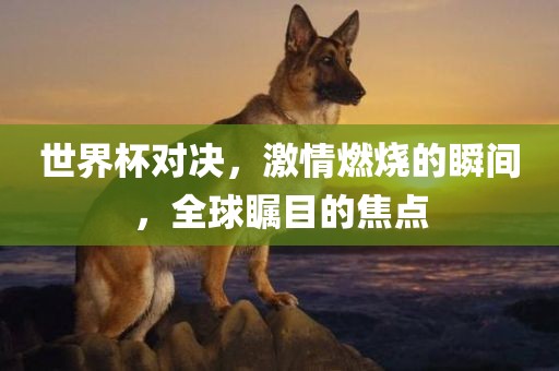 世界杯对决，激情燃烧的瞬间，全球瞩目的焦点