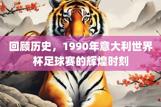 回顾历史，1990年意大利世界杯足球赛的辉煌时刻广西贺州市华昌新材料有限公司