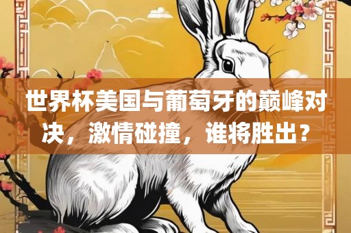 世界杯美国与葡萄牙的巅峰对决，激情碰撞，谁将胜出？广西贺州市华昌新材料有限公司