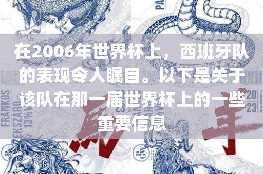 在2006年世界杯上，西班牙队的表现令人瞩目。以下是关于该队在那一届世界杯上的一些重要信息