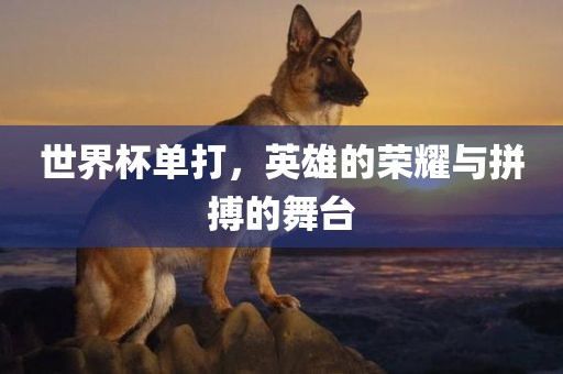 世界杯单打，英雄的荣耀与拼搏的舞广西贺州市华昌新材料有限公司台