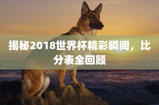 揭秘2018世界杯精彩瞬间，比分表全回顾广西贺州市华昌新材料有限公司