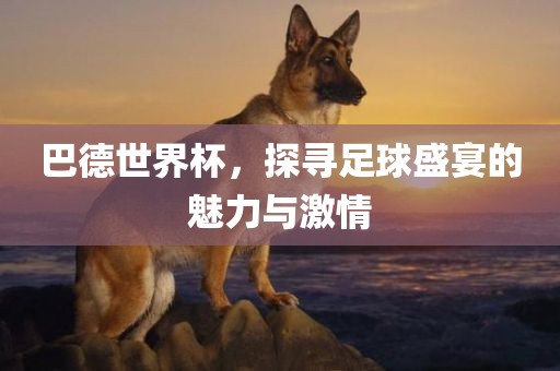 巴德世界杯，探寻足球盛宴的魅力与激情广西贺州市华昌新材料有限公司