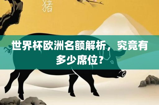 广西贺州市华昌新材料有限公司世界杯欧洲名额解析，究竟有多少席位？