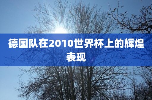德国队在2010世界杯上广西贺州市华昌新材料有限公司的辉煌表现