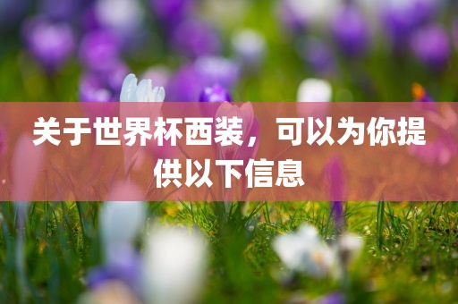 关于世界杯西装，可以广西贺州市华昌新材料有限公司为你提供以下信息