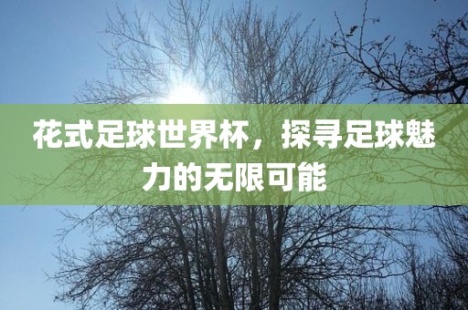 花式足球世界杯，探寻足球魅力的无限可能广西贺州市华昌新材料有限公司