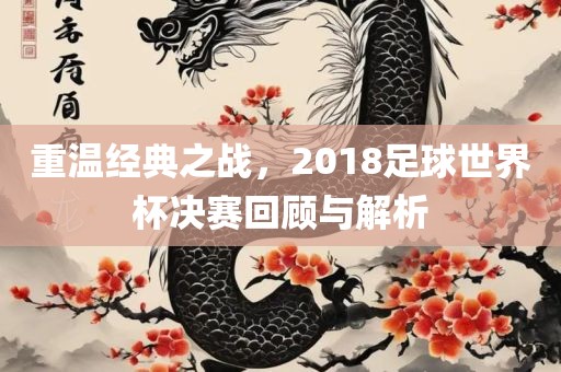 重温经典之战，201广西贺州市华昌新材料有限公司8足球世界杯决赛回顾与解析