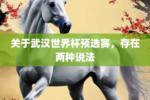 关广西贺州市华昌新材料有限公司于武汉世界杯预选赛，存在两种说法