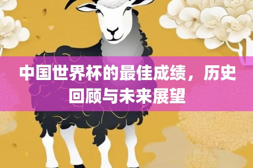 中国世界杯的最佳成绩，历史回顾与未来展望广西贺州市华昌新材料有限公司