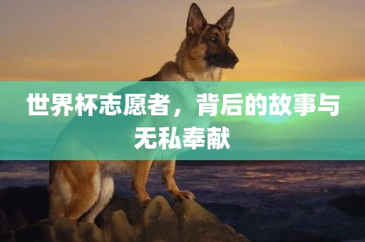 世界杯志愿者，背后的故事与广西贺州市华昌新材料有限公司无私奉献