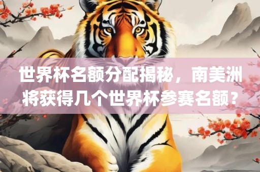 世界杯名额分配揭秘，南美洲将获得几个世界杯参赛名额？