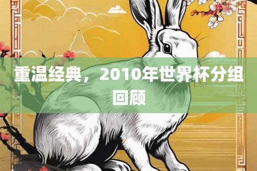 重温经典，2010年世界杯分组回顾广西贺州市华昌新材料有限公司