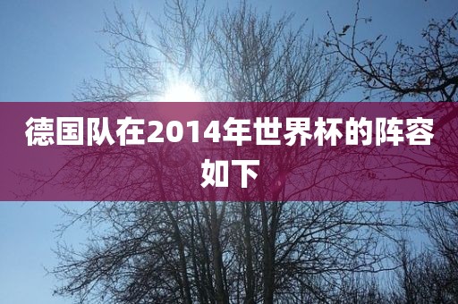 德国队在2014广西贺州市华昌新材料有限公司年世界杯的阵容如下