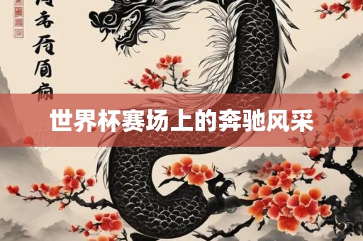 世界杯赛场上的奔驰风采广西贺州市华昌新材料有限公司