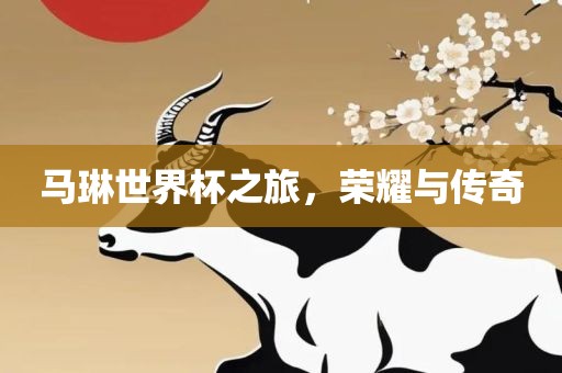 马琳世界杯之旅，荣耀与传奇