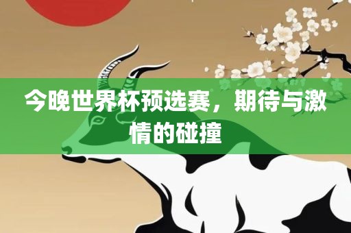 今晚世界杯预选赛，期待与激情的碰撞广西贺州市华昌新材料有限公司