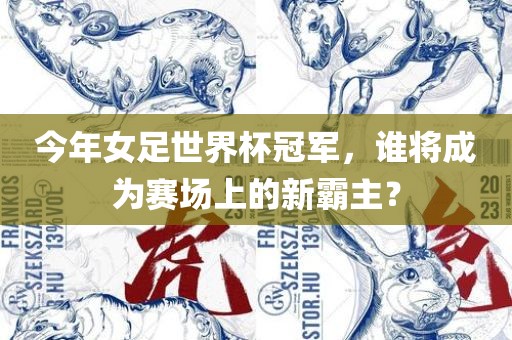 今年女足世界杯冠军，谁将成为赛场上的新霸主？广西贺州市华昌新材料有限公司