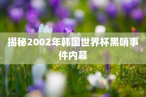 揭秘2002年韩国世界杯黑哨事件内幕广西贺州市华昌新材料有限公司
