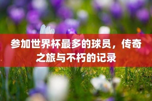 参加世界杯最多的球员，传奇之旅与不朽的记录广西贺州市华昌新材料有限公司